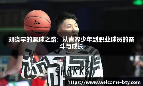 b体育